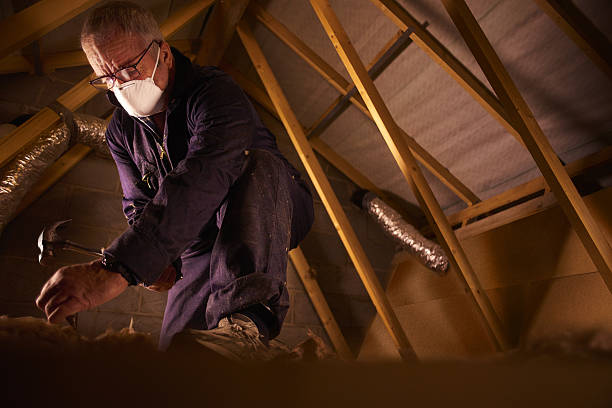 Best Specialized Insulation Services in Wrightsville, PA