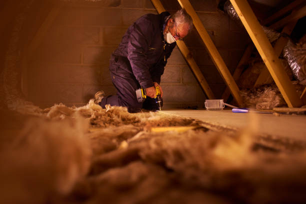 Best Eco-Friendly Insulation in Wrightsville, PA